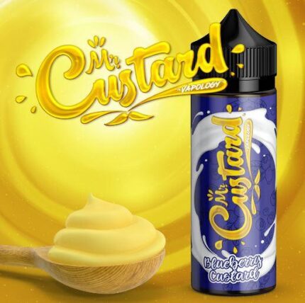Vapology Blueberry Custard 2mg 120ml