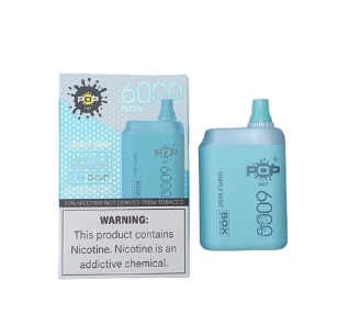 Pop Hits - Simply Mint- 6000 Puff (Charging Cable Include)